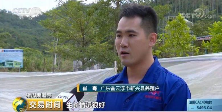 养殖户亏损,猪还养不养?重振信心,国家出手了! 养殖户亏损,猪还养不养?重振信心,国家出手了!