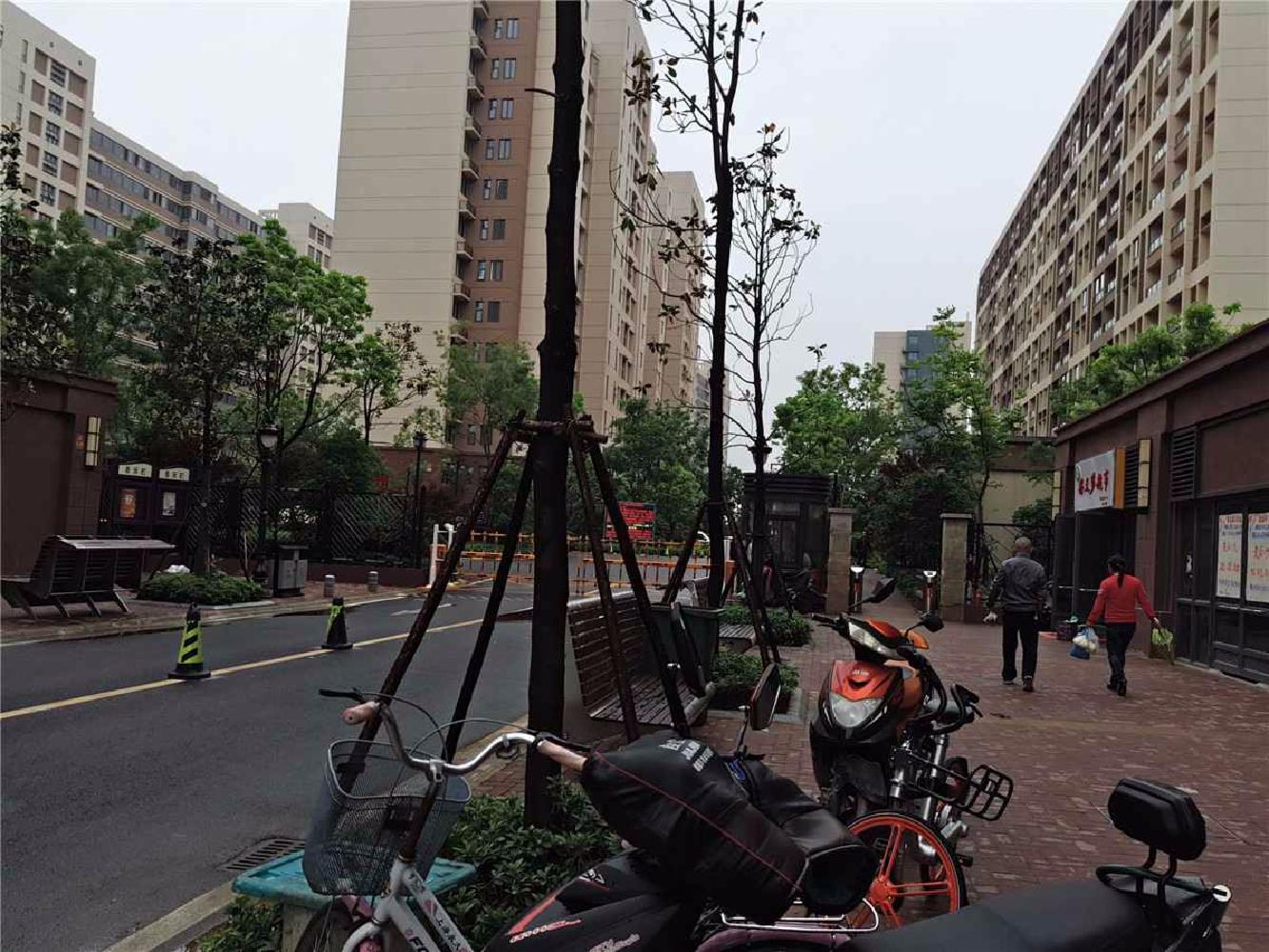 有钥匙 石杨路 紫杨佳杨 电梯 两室两厅 次新房 总价低 银龙花园