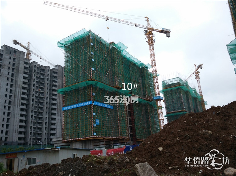 【章章跑盘】招商兰溪谷二期工地探访,各楼栋