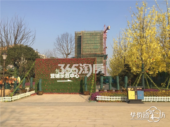 【跑盘贴】恒大龙珺 【跑盘贴】恒大龙珺