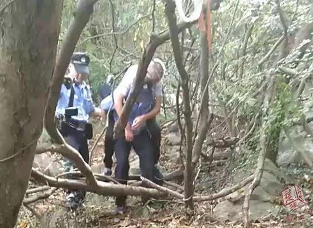 小学生放学路上被袭击,直接进了ICU!出门千万小心它 小学生放学路上被袭击,直接进了ICU!出门千万小心它