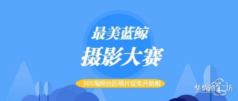 “最美蓝鲸”摄影大赛开始啦,千元大奖等你拿 “最美蓝鲸”摄影大赛开始啦,千元大奖等你拿
