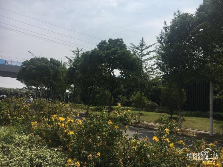 预计均价2.6万元/㎡!江宁地铁口“老盘”即将加推最后3栋住宅! 预计均价2.6万元/㎡!江宁地铁口“老盘”即将加推最后3栋住宅!
