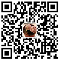 南京首届千米长卷手绘大赛正式报名!只有100个名额!送迪仕尼书包!还有专车往返接送哦!! 南京首届千米长卷手绘大赛正式报名!只有100个名额!送迪仕尼书包!还有专车往返接送哦!!