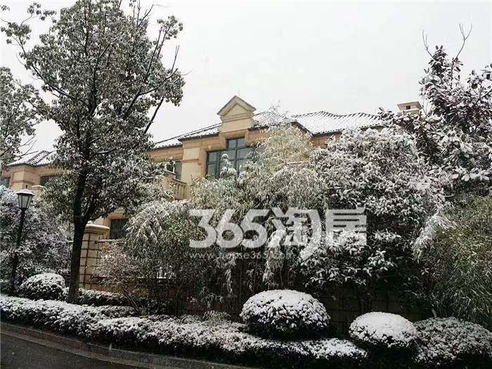 【初雪未央】锦隆云山墅雪景风景照曝光啦!美到无与伦比……收图啦! 【初雪未央】锦隆云山墅雪景风景照曝光啦!美到无与伦比……收图啦!