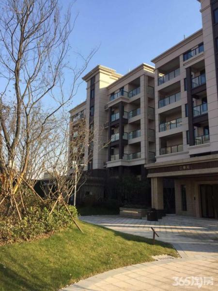 南京 紫晶美域 纯新盘不限购 首付一成起 截至时