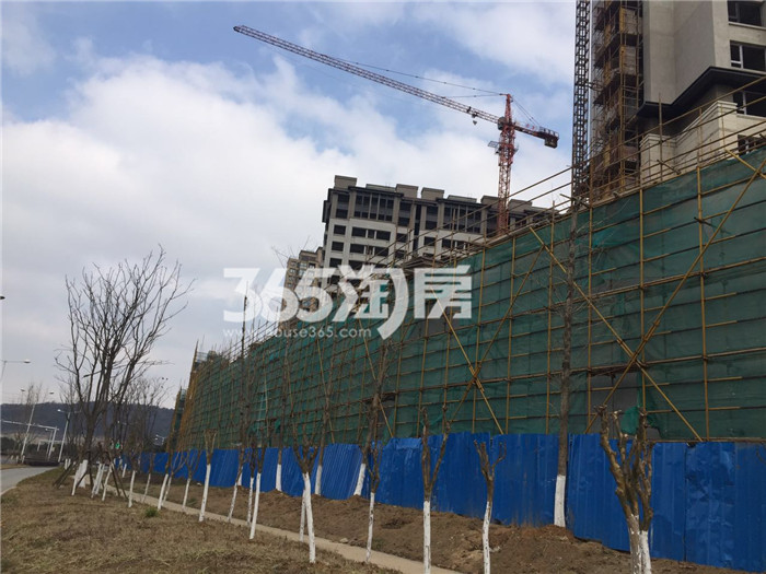 【跑盘贴】高科荣境2月探盘:桂山堂外立面 【跑盘贴】高科荣境2月探盘:桂山堂外立面