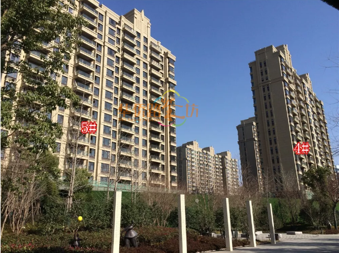 必看帖!有图有真相!河西8大豪宅光照PK!总价千万买的是小黑屋还是阳光房? 必看帖!有图有真相!河西8大豪宅光照PK!总价千万买的是小黑屋还是阳光房?