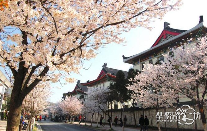 【快来参加吧!】新湖仙林翠谷“花之魅影”摄影大赛正式开启,千元大奖等你来! 【快来参加吧!】新湖仙林翠谷“花之魅影”摄影大赛正式开启,千元大奖等你来!