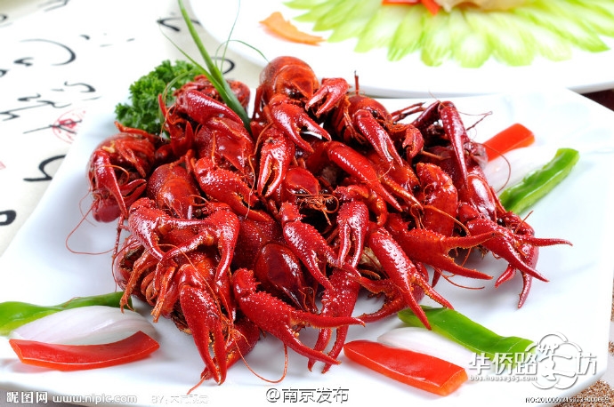 吃龙虾出问题怎么办也不怕,龙虾保险很赞哦。