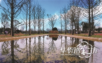 【聊五毛钱的理想】如果不谈房价,你最想住在哪里?自从实探了江心洲生态科技岛,我就选择她了! 【聊五毛钱的理想】如果不谈房价,你最想住在哪里?自从实探了江心洲生态科技岛,我就选择她了!