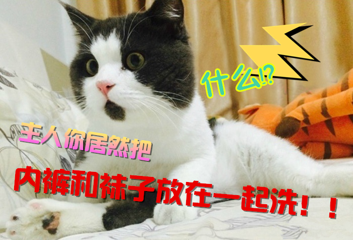 <em>内裤</em>和<em>袜子</em>还要<em>分开洗</em>?明明一个盆就能搞定啊