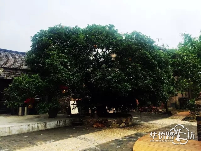 大开眼界!溧水居然藏着那么多美丽故事 大开眼界!溧水居然藏着那么多美丽故事