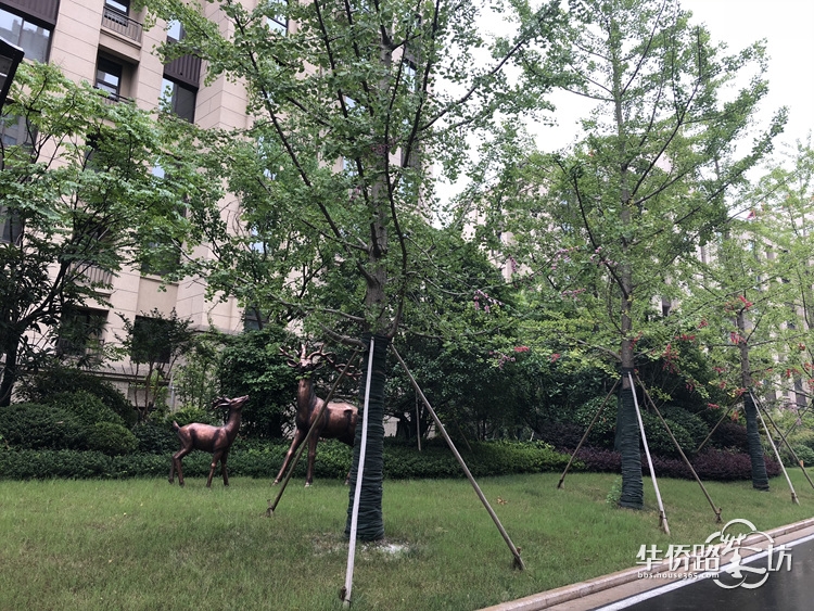 【面面看房】之明发香山郡,低密度花园洋房,入手老山板块最低门槛! 【面面看房】之明发香山郡,低密度花园洋房,入手老山板块最低门槛!