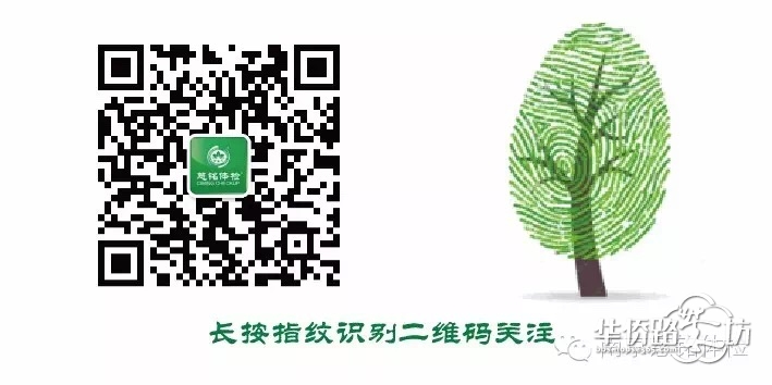 什么?“双十一”在南京慈铭体检6折起?我要去! 什么?“双十一”在南京慈铭体检6折起?我要去!