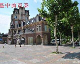 金马郦城 配套完善 独门独户 欧式精装 家电齐全 看房方便 拎包住