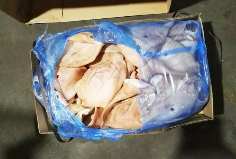 730吨、案值1500万元!中山警方截获大批走私冻肉,这些鸡翅、猪脚不要吃 730吨、案值1500万元!中山警方截获大批走私冻肉,这些鸡翅、猪脚不要吃