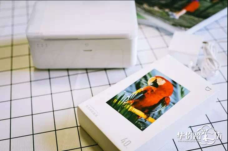 “最美蓝鲸”摄影大赛开始啦,千元大奖等你拿 “最美蓝鲸”摄影大赛开始啦,千元大奖等你拿