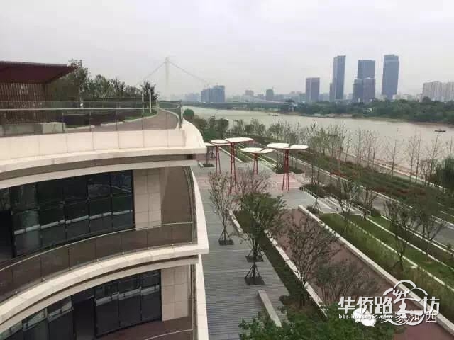 【田田闲聊】厉害了我的大河西!本周医疗、规划、交通都有新动态,下周三盘联袂加推,来次够! 【田田闲聊】厉害了我的大河西!本周医疗、规划、交通都有新动态,下周三盘联袂加推,来次够!