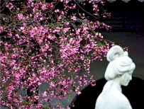 【3月会员中心】春风万里,草木初盛,正是踏青好时节!出游必备神器和赏花宝典都在这里哦!快抢先领取吧! 【3月会员中心】春风万里,草木初盛,正是踏青好时节!出游必备神器和赏花宝典都在这里哦!快抢先领取吧!