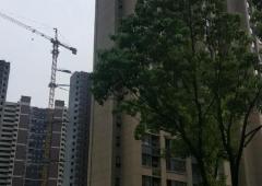 金地明悦 南北通透精装四房 高层采光充足 急售宜居