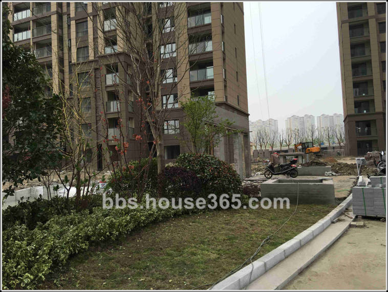 【落落跑盘】人间四月天—荣盛莉湖春晓4月成长记,三期内部实探,绿化开建,单元楼栋内部情况一览~ 【落落跑盘】人间四月天—荣盛莉湖春晓4月成长记,三期内部实探,绿化开建,单元楼栋内部情况一览~
