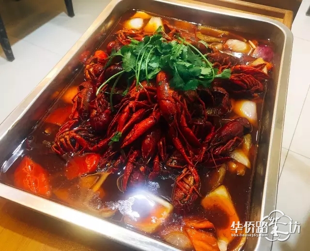众多美食5折开吃!骚年,躁动起来吧! 众多美食5折开吃!骚年,躁动起来吧!