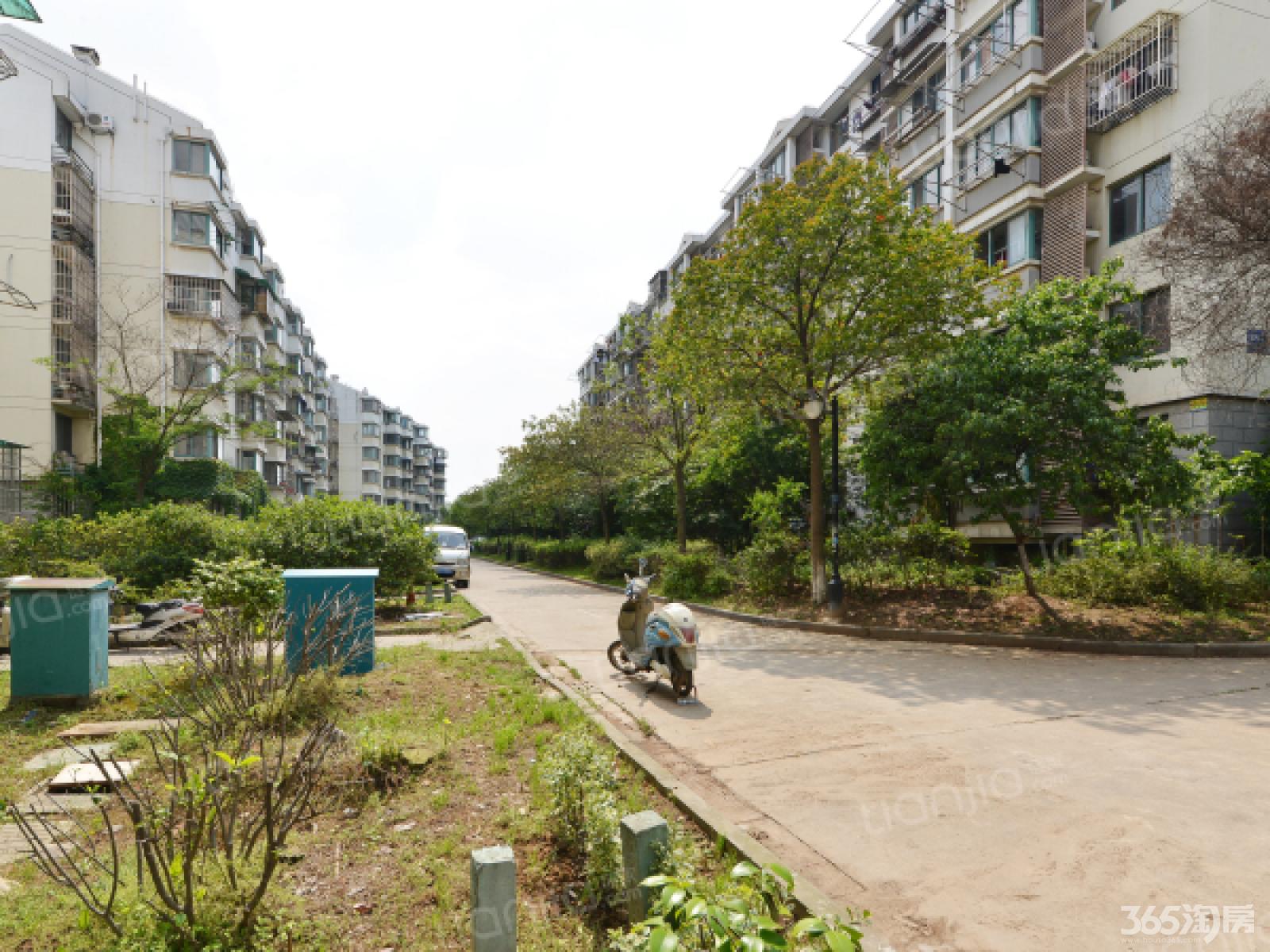 成熟 拎包入住_南京雨花台区景明佳园租房】_南京租房网_365租房网