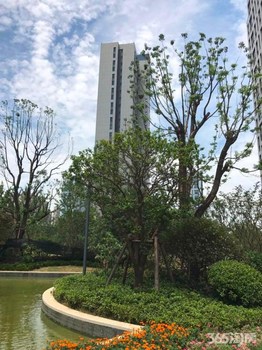 建邺区江心洲仁恒绿洲新岛98.00㎡精装2室1厅