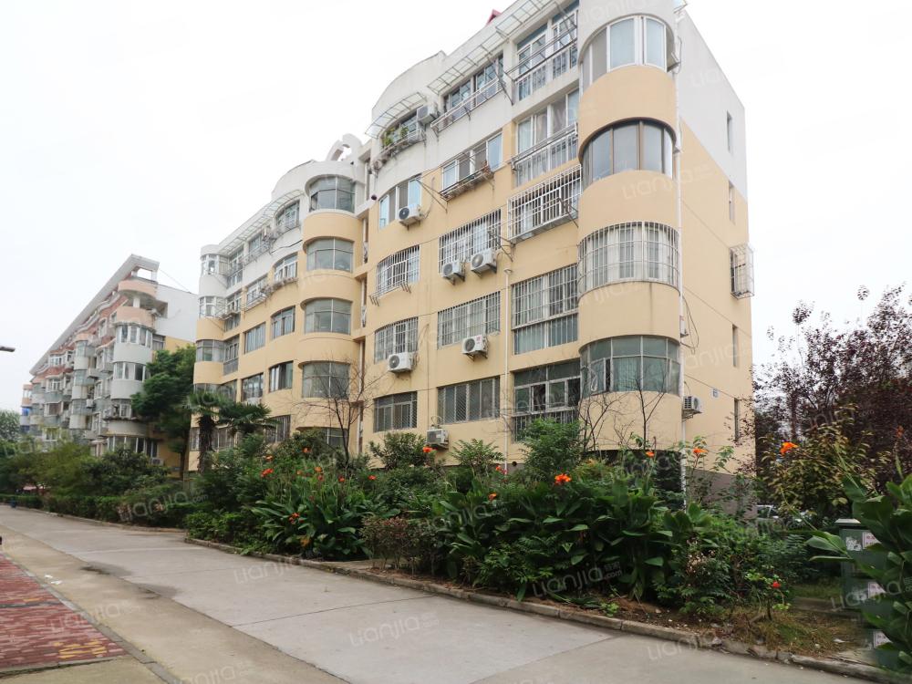 整租湖滨公寓 1室0厅 北