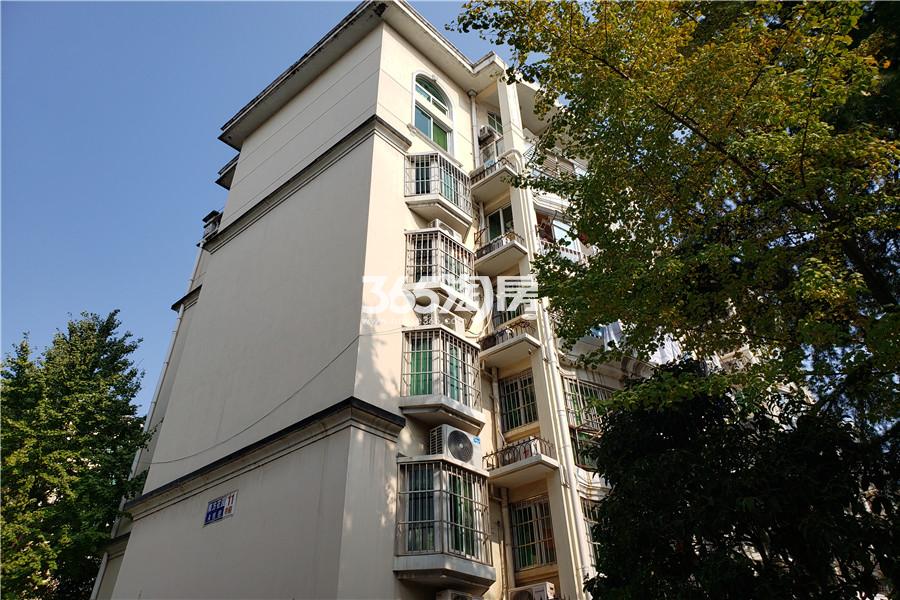 居家装修 拎包住 楼层好 价格低_南京江宁区南方花园a组团租房】_南京